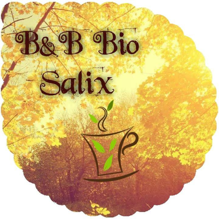 Bed And Breakfast Bio Salix Padova Exterior photo