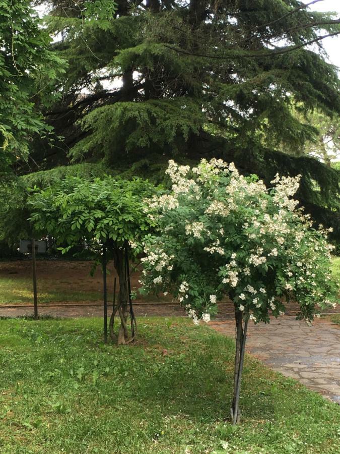 Bed And Breakfast Bio Salix Padova Exterior photo